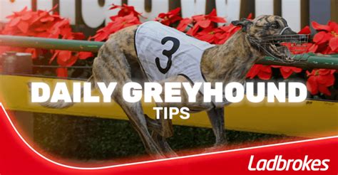 sports.ladbrokes.com|ladbrokes greyhounds.